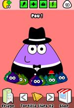 Pou