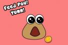 Pou 1